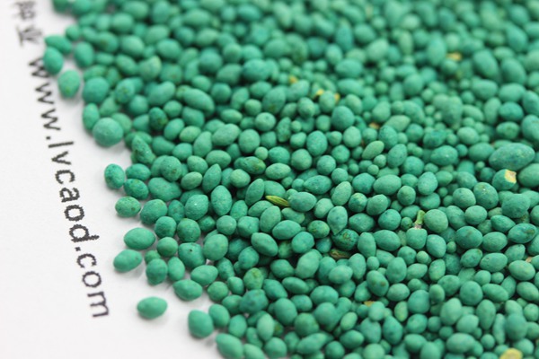 馬尼拉草坪種子 馬尼拉草坪種子