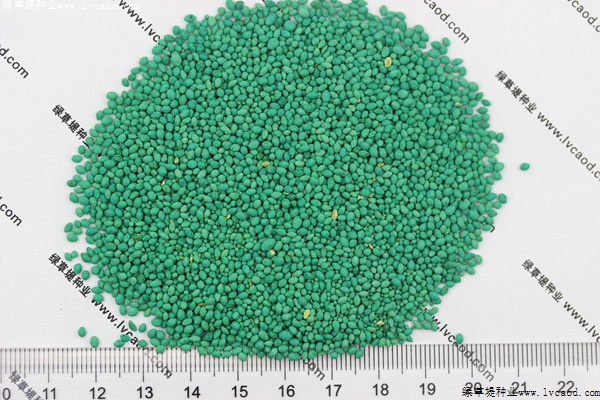 馬尼拉草坪種子 馬尼拉草坪種子
