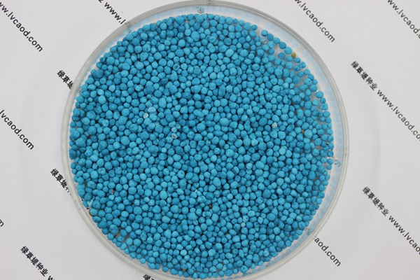 馬蹄金種子 馬蹄金種子