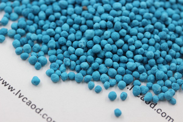 馬蹄金種子 馬蹄金種子