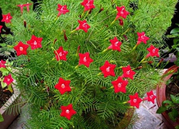 1577180980144433.jpg 3_副本.jpg