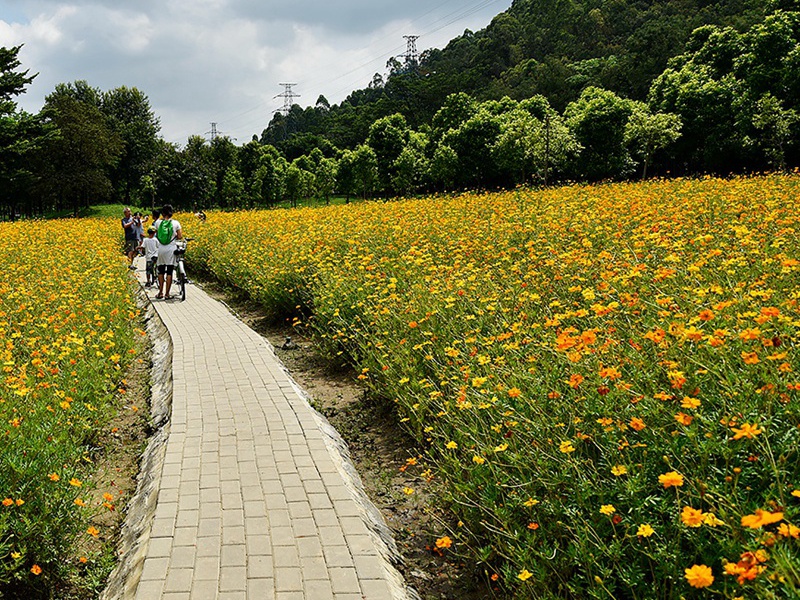 1590577206517952.jpg 7.jpg