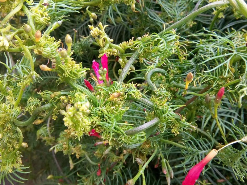 1591193506662205.jpg 4.jpg