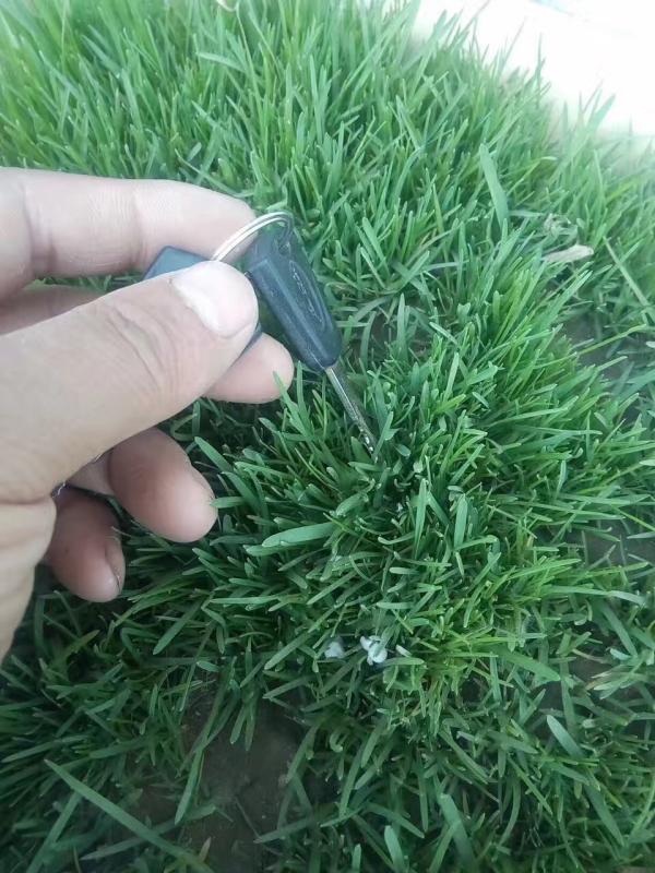 1561967994422476.jpg img_0845.jpg