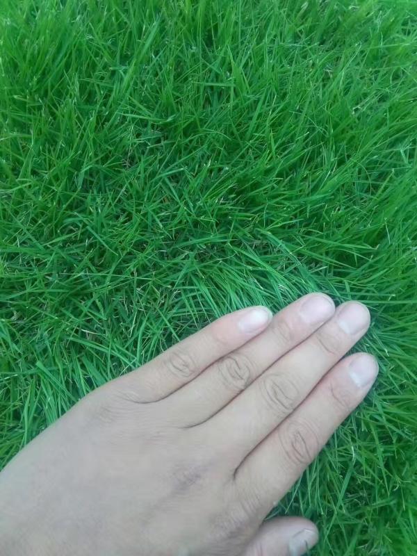 1561968007458669.jpg img_0846.jpg