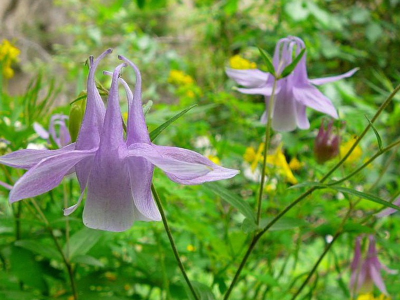 1598450446928646.jpg 2.jpg