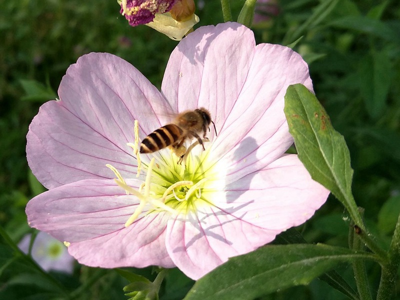 1598798665208240.jpg 6.jpg