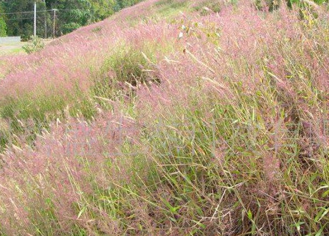 1599179215693177.jpg image.jpg