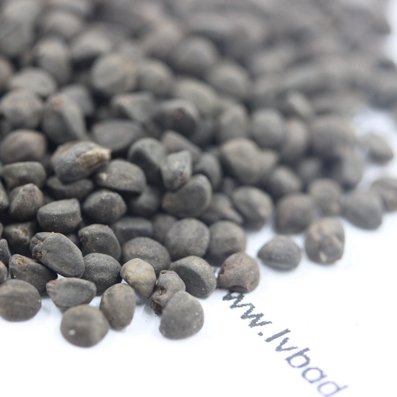 1599833214729092.jpg 鶯羅 (4).JPG