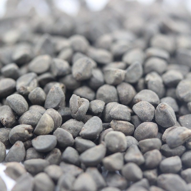 1599833217118710.jpg 鶯羅 (3).JPG