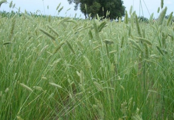 1627991775528216.jpg image.jpg