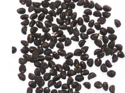 牽?；ǚN子泡水開裂