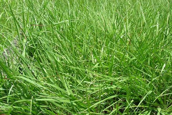 1644589497364820.jpg QQ截圖20220211222216.jpg