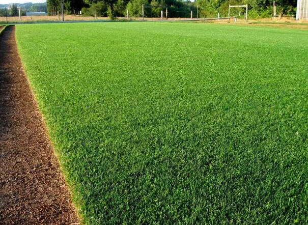 1648953882195812.jpg 2+.jpg