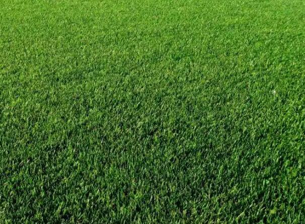 1648953893131536.jpg 2++.jpg