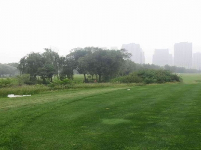 高羊茅種子播種時(shí)間是幾月？