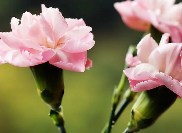 1657681871410917.jpg 3++.jpg