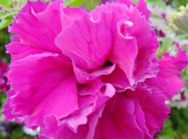 1657982899162543.jpg 5+++.jpg