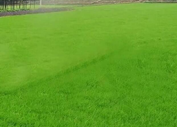 1661426020726122.jpg 0++.jpg