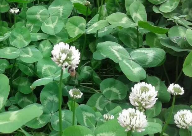 1661783357868586.jpg 6+.jpg