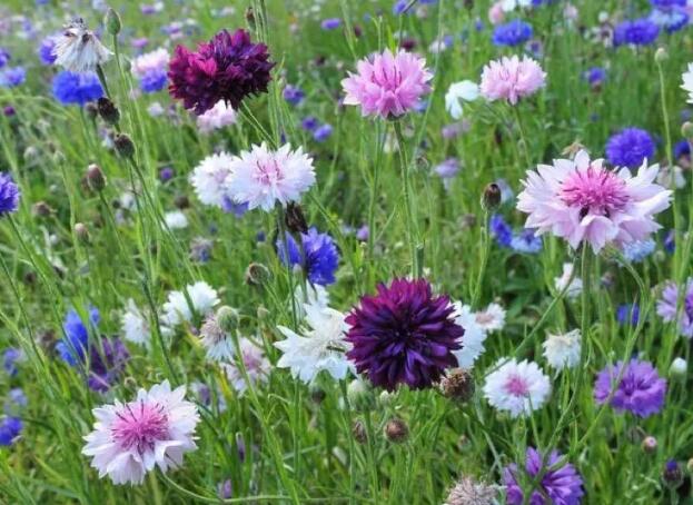 1662811770302450.jpg 1+.jpg