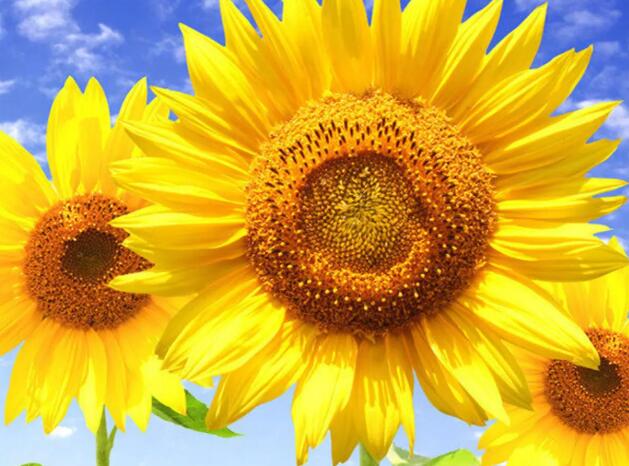 1662991914279144.jpg 8+.jpg