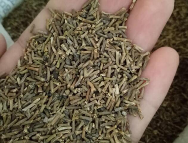 1662993826591923.jpg 3.jpg