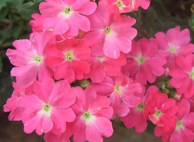 1662993842459078.jpg 3+.jpg