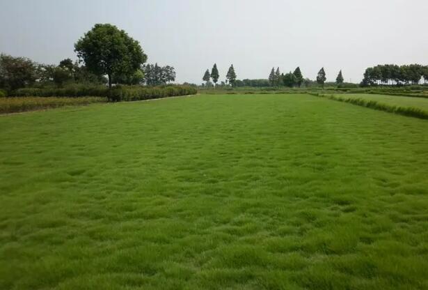 1669218392285815.jpg 5.jpg