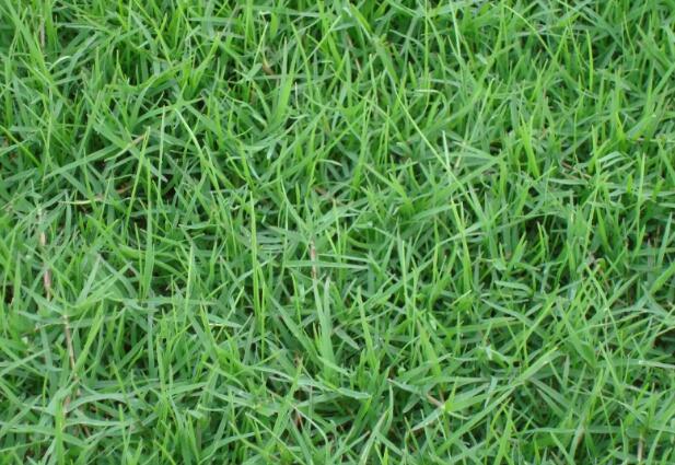 1669218406483544.jpg 5+.jpg