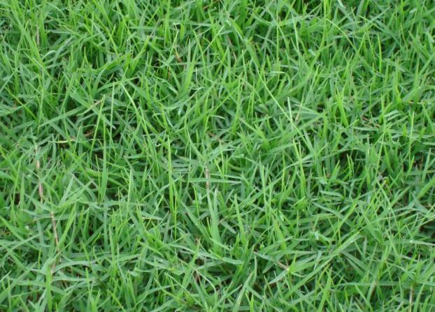 1669895738716964.jpg 0..jpg