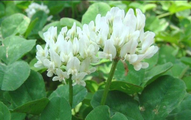 1670131665559294.jpg 5.jpg