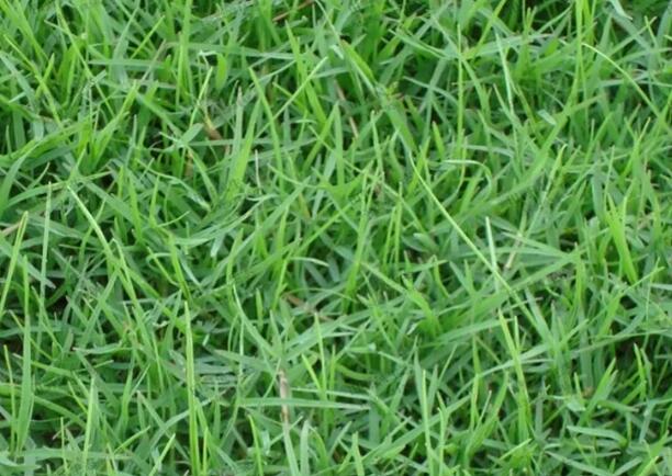 1670202673987809.jpg 7+.jpg