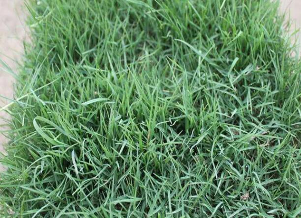 1670202683821807.jpg 7++.jpg