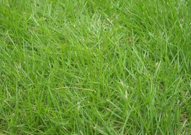 1670324732778386.jpg 1++.jpg