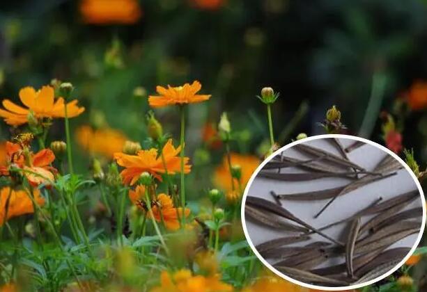 1671029317529069.jpg 0.jpg