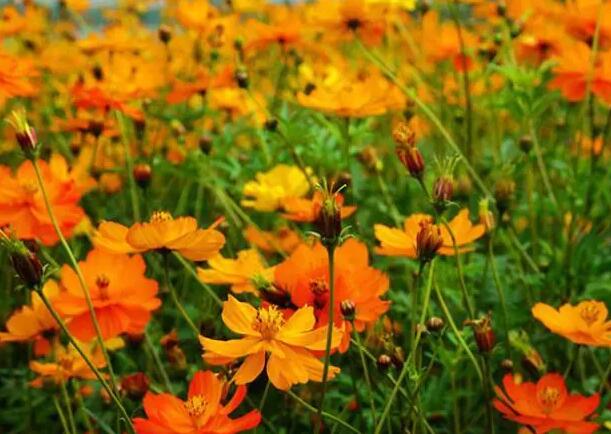 1671029342903460.jpg 0++.jpg